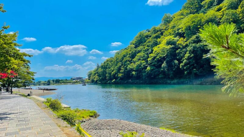 Kyoto Day Tour With Certified Tour Guide & Luxury Vehicle - Inclusions