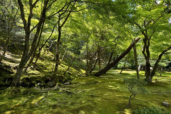 Kyoto: Discover Every Bit of Ginkakuji Temple in 60 Minutes - Preparing for the Private Tour Experience