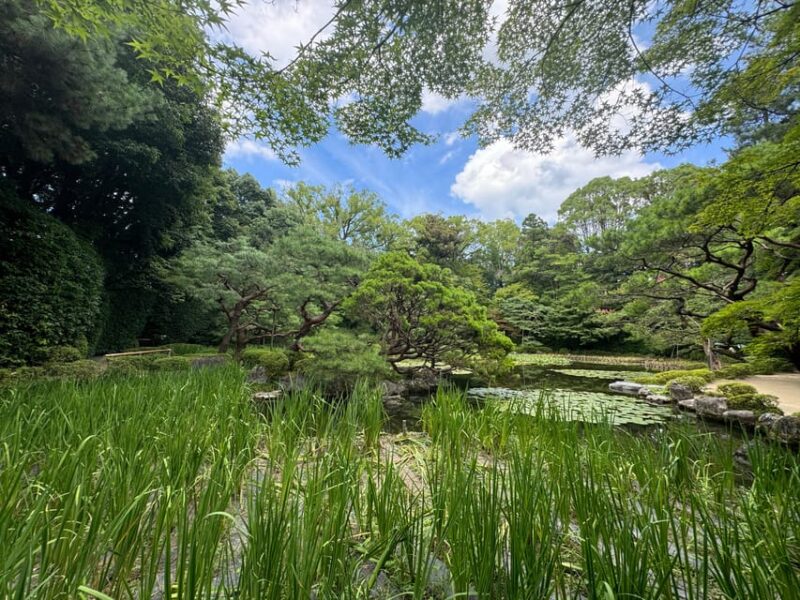 Kyoto: Discover Every Bit of Heian Jingu Shrine in 1 Hour - Commemorating Kyotos 1100-Year History