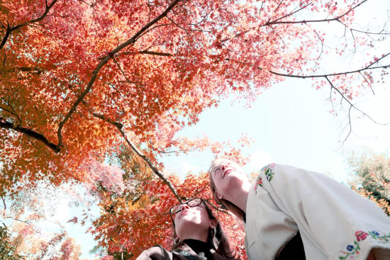 Kyoto: Discover the Oldest Geisha District, Kamishichiken - Important Information
