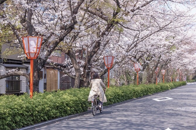 Kyoto E-Bike Tour - Meeting and Pickup