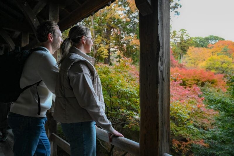 Kyoto: Early Bird E-Bike Tour With Lunch - Participant Information