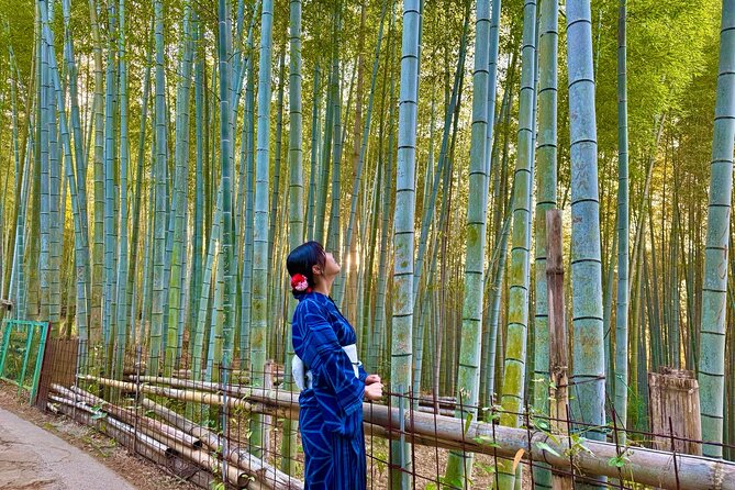 Kyoto Early Morning Tour: Top Landmarks in Half a Day - Moderate Physical Fitness Requirement