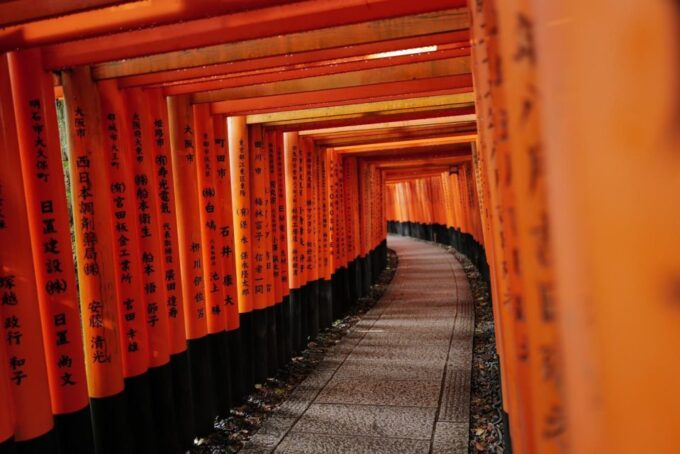 Kyoto: Early Morning Tour With English-Speaking Guide - Arashiyama Bamboo Forest