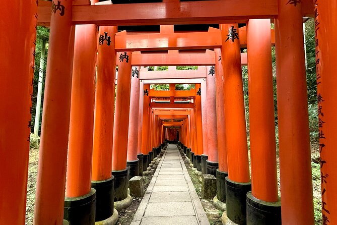 Kyoto Early Morning Walking Tour: Nature & History - Meeting Point and Transportation