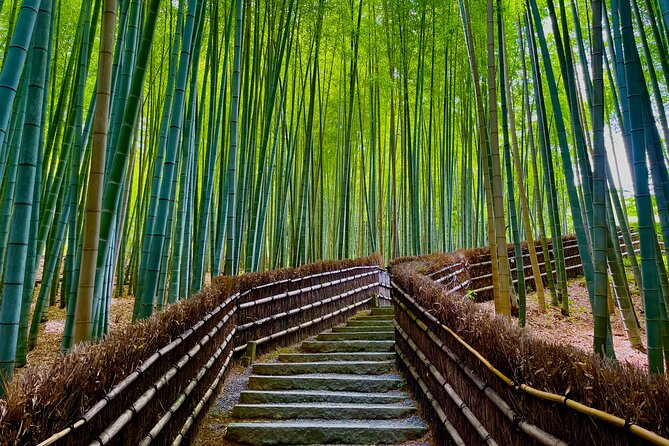 Kyoto Early Morning Walking Tour: Nature & History - Traveler Testimonials