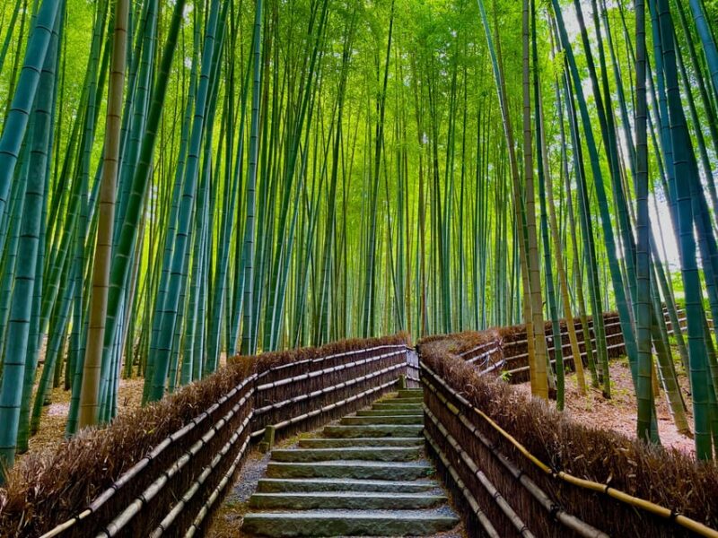 Kyoto Early Morning Walking Tour: Nature & History - Key Points