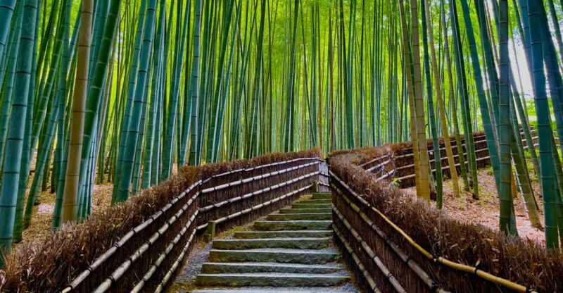 Kyoto Early Morning Walking Tour: Nature & History - Itinerary Highlights