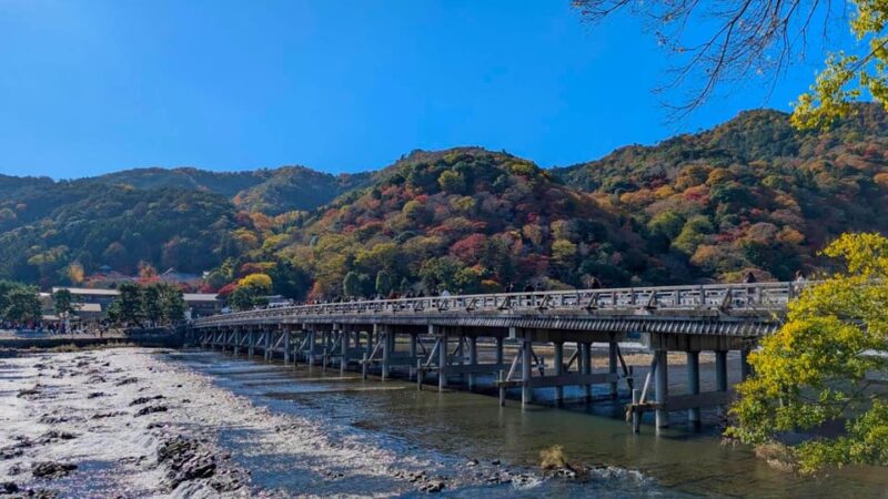 Kyoto Early Morning Walking Tour: Nature & History - Important Information