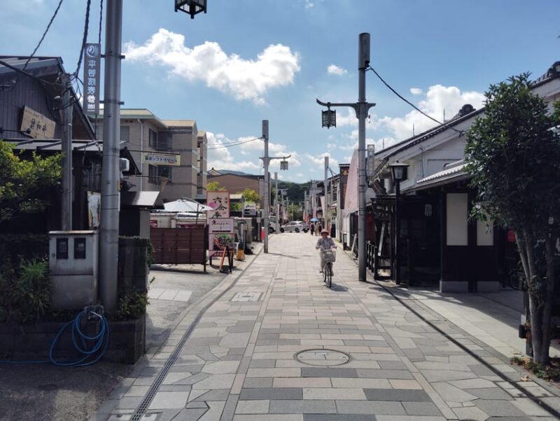 Kyoto: Enjoy Byodoin Temple and Tea Sweets - 90 Min Tour - Discovering Historic and Trendy Tea Establishments