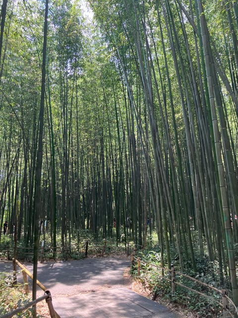 Kyoto: Essential Tour With Fushimi Inari & Bamboo Grove - Fushimi Inari Shrine Experience
