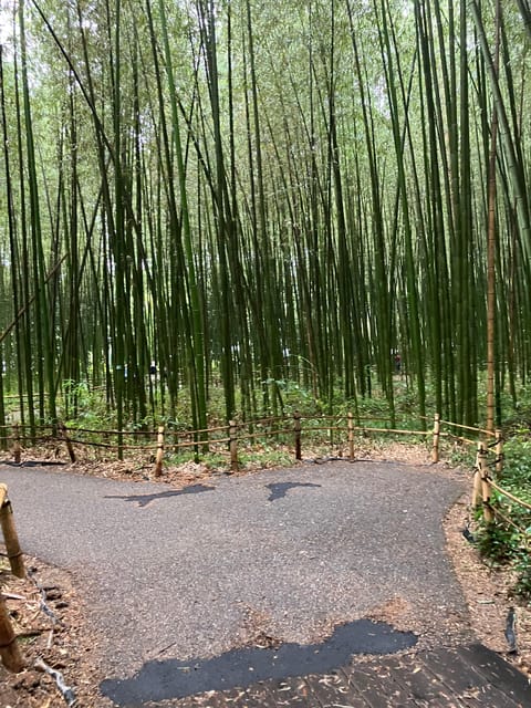 Kyoto: Essential Tour With Fushimi Inari & Bamboo Grove - Inclusions and Important Information