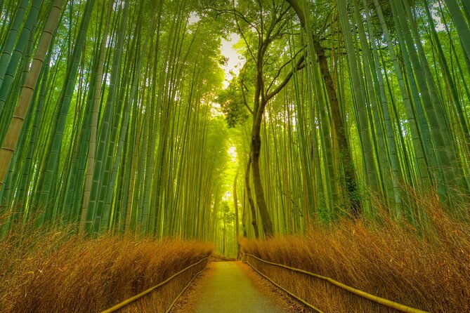 Kyoto Exclusive Private Tour With Vehicle & Professional Guide - Wander Through the Captivating Arashiyama Bamboo Grove