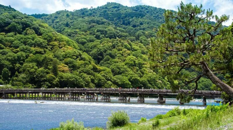 Kyoto: Explore Arashiyama - Monkeys, Temples & Bamboo Trail - The Sum Up