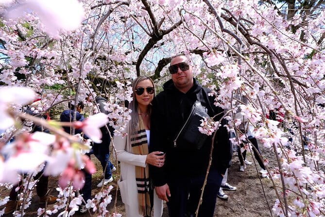 KYOTO Explore Top Highlights by Private Walking Tour - Meeting and Pickup