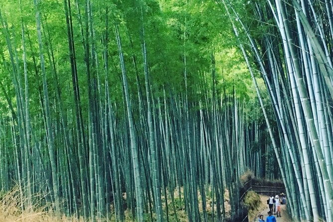 KYOTO Explore Top Highlights by Private Walking Tour - Accessibility and Health Considerations