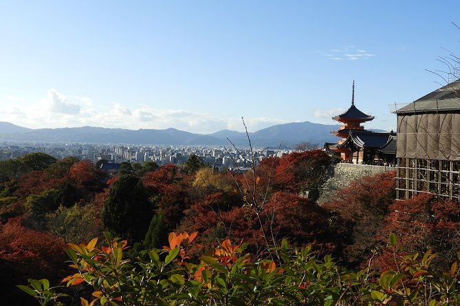 Kyoto Full Day (8 Hours) Sightseeing Privatetour - Tour Details and Requirements