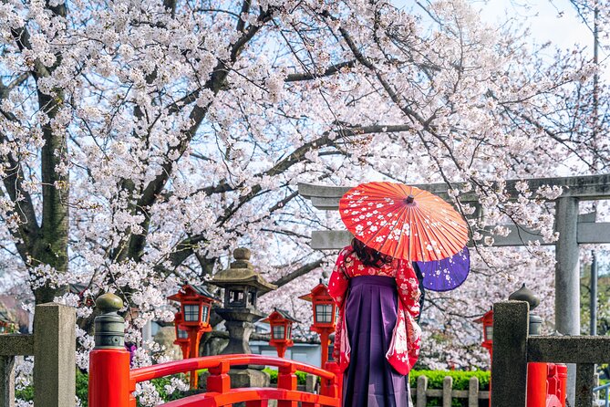 Kyoto Full Day (8 Hours) Sightseeing Privatetour - Customer Reviews