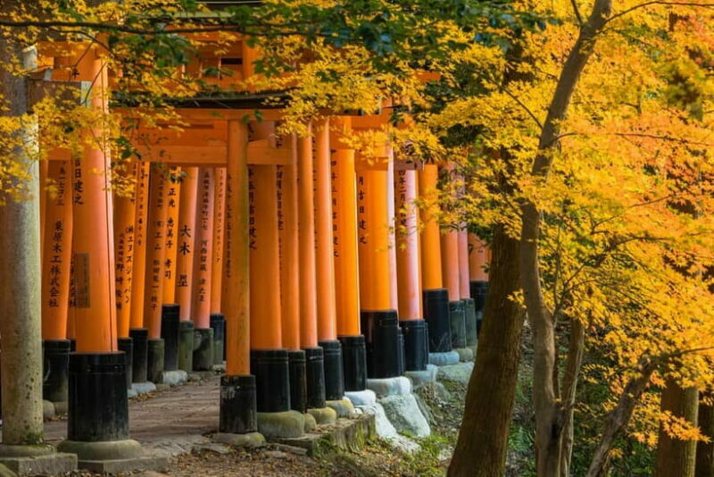 Kyoto: Full-Day Guided Tour of Kyoto's Top Highlights - Practical Aspects and Tips