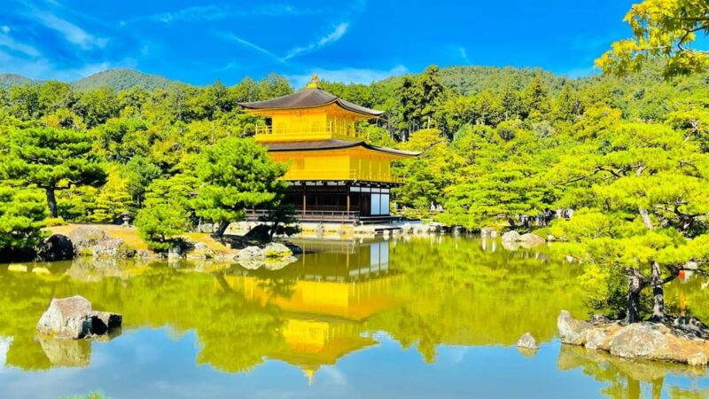 Kyoto: Full-Day Highlight Guided Tour With Expert Tour Guide - Sagano Bamboo Forest and Tenryuji Temple