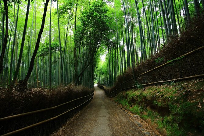 Kyoto Full Day Trip From Osaka - Itinerary: Discover the Timeless Wonders of Kyoto