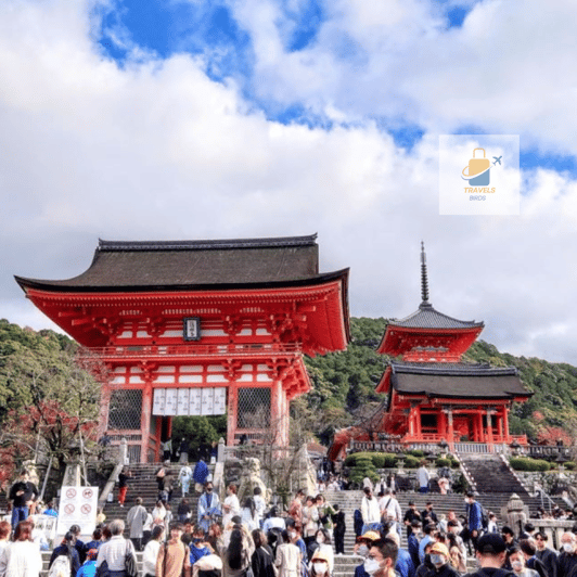 Kyoto: Full Day UNESCO And Historical Sites Private Car Tour - Key Points