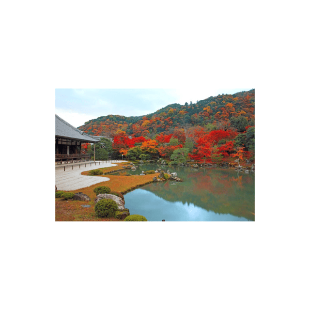 Kyoto: Full Day UNESCO And Historical Sites Private Car Tour - Complimentary Beverages and Comfort