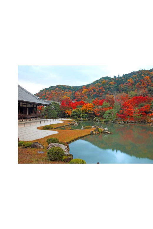 Kyoto: Full Day UNESCO And Historical Sites Private Car Tour - Customized and Personalized Journey