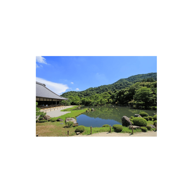 Kyoto: Full Day UNESCO And Historical Sites Private Car Tour - Luxury of Private Tour