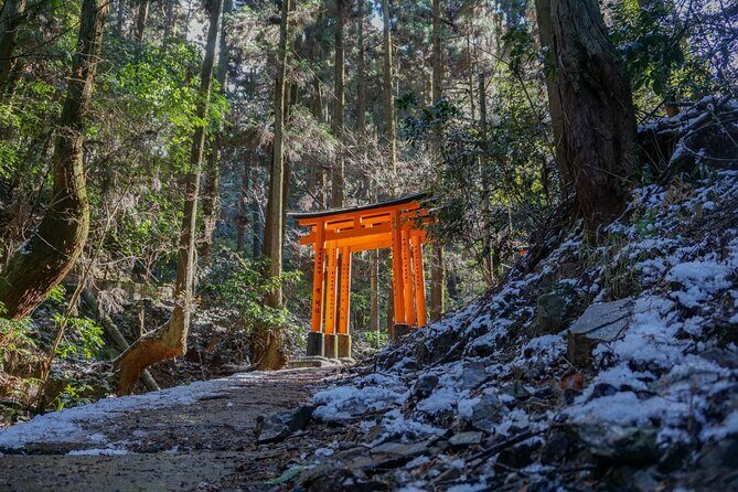 Kyoto: Fushimi Inari Hidden Hike (Private) - Key Points