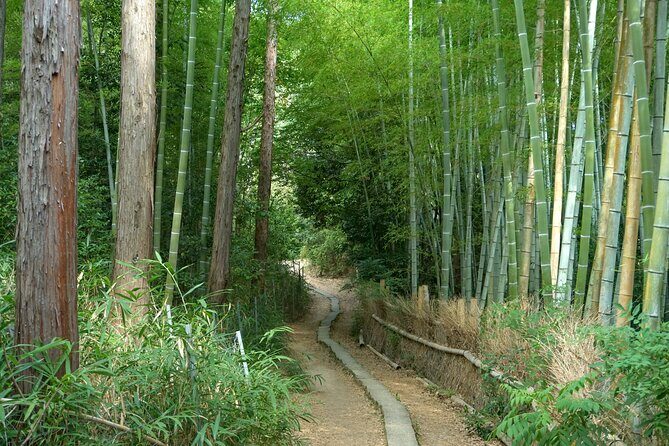 Kyoto: Fushimi Inari Hidden Hike (Private) - What’s Included and What’s Not