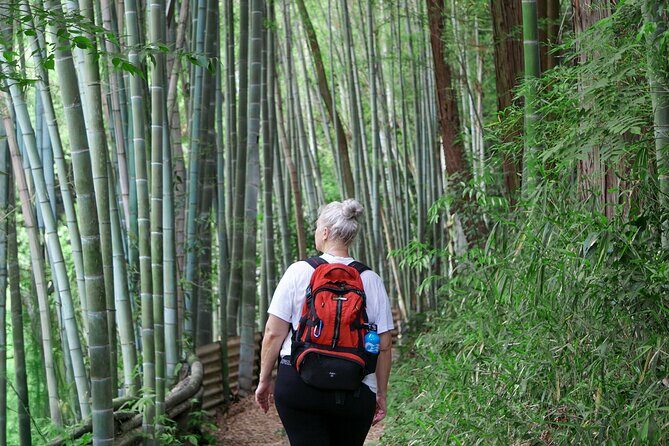 Kyoto: Fushimi Inari Hidden Hike (Private) - Frequently Asked Questions