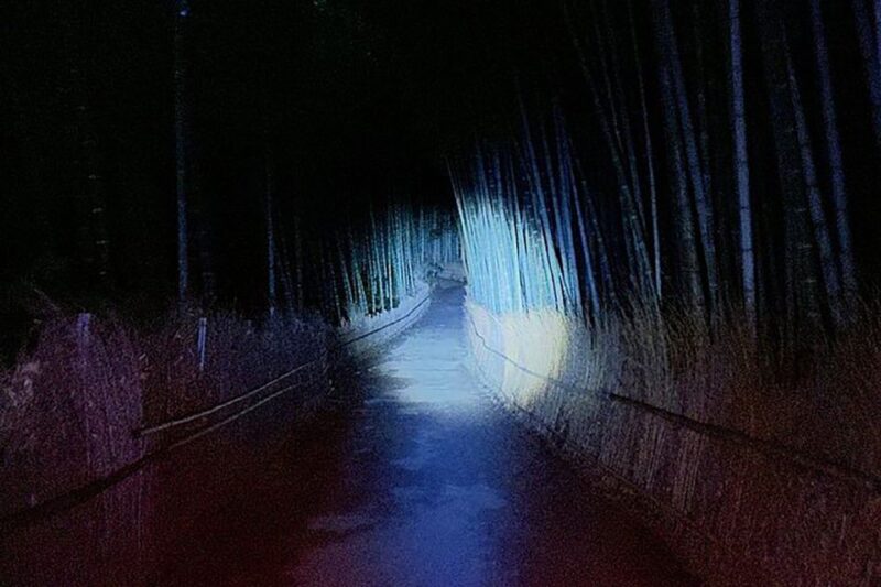 Kyoto Ghost Tour: Ghosts, Mysteries & Bamboo Forest at Night - Frequently Asked Questions