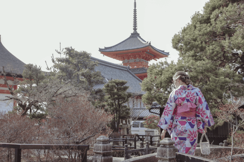 Kyoto: Gion, Kiyomizu Temple, & Nishiki Market Morning Tour - Inclusions