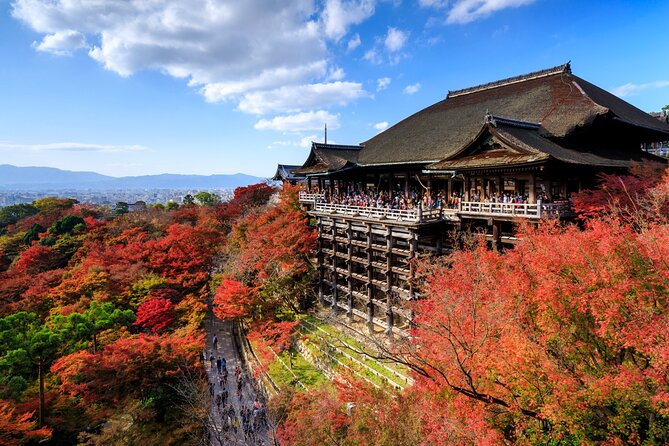 Kyoto Golden Pavilion and Nijo Castle Tour - Tour Schedule