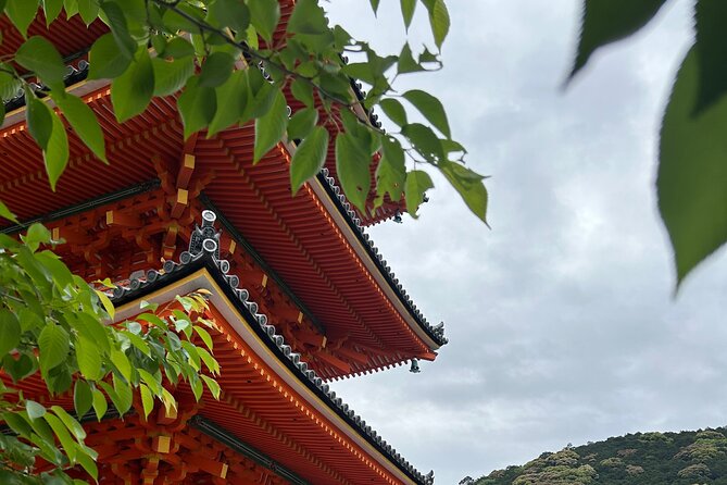 Kyoto Guided Day Tour With Free Admission - Accessibility and Health Considerations