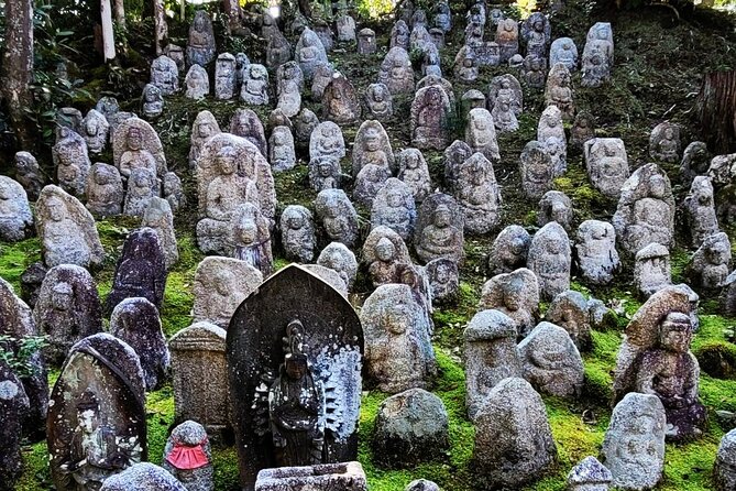 Kyoto Half Day Tour - Booking Information