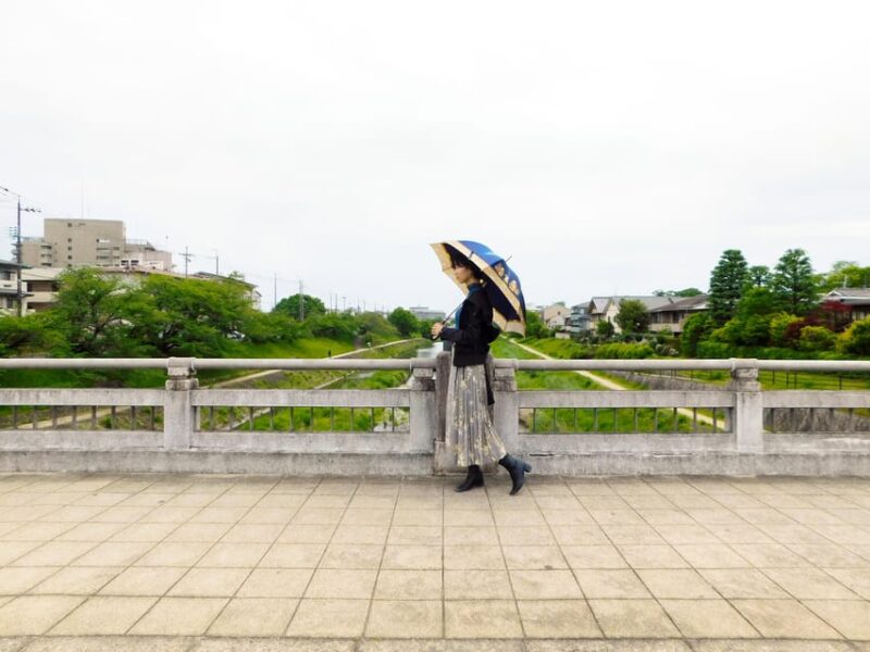 Kyoto: Hidden Gems Morning Walk in Sakyo With a Local Guide - Demachi Masugata Shopping Street