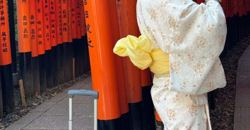 Kyoto Highlight Private Tour - Itinerary and Highlights