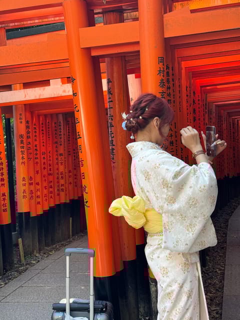 Kyoto Highlight Private Tour - Key Attractions: Arashiyama Bamboo Grove