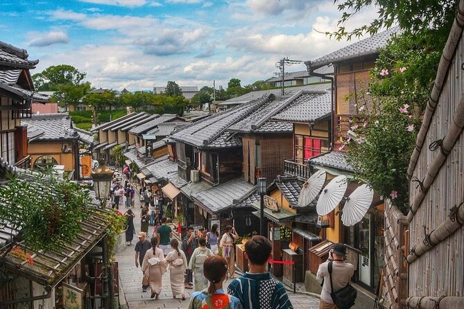 Kyoto Highlight Private Tour With English Speaking Driver - Accessibility