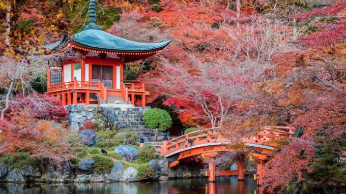 Kyoto: Highlight Tour With English Speaking Guide - Visiting Nijo Castle and Fushimi Inari Taisha