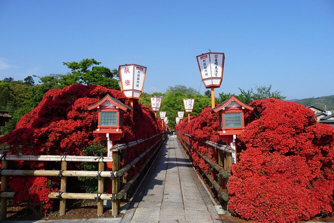 Kyoto Highlights Eastern Western Northern and Southern Routes - Taking in Kyotos Northern Serenity