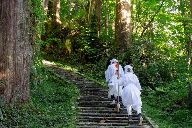 Kyoto Highlights Eastern Western Northern and Southern Routes - Inclusions for a Seamless Experience