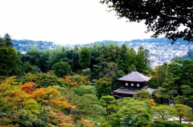 Kyoto: Highlights Guided Walking Tour - Markets, Shrines, and Gardens