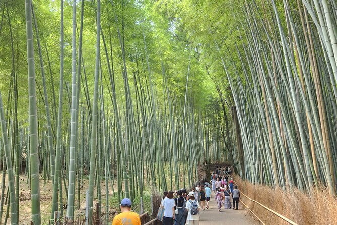 Kyoto Highlights of 6 Hour Private Car Tour - Inclusions
