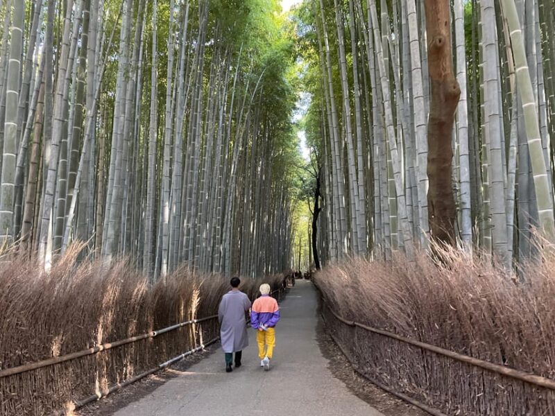 Kyoto: Highlights of Arashiyama in 2 Hours - Guided Tour - Starting Location