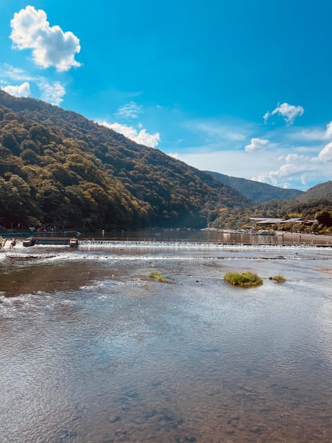 Kyoto: Highlights of Arashiyama in 2 Hours - Guided Tour - Guided Tour of Bamboo Forest