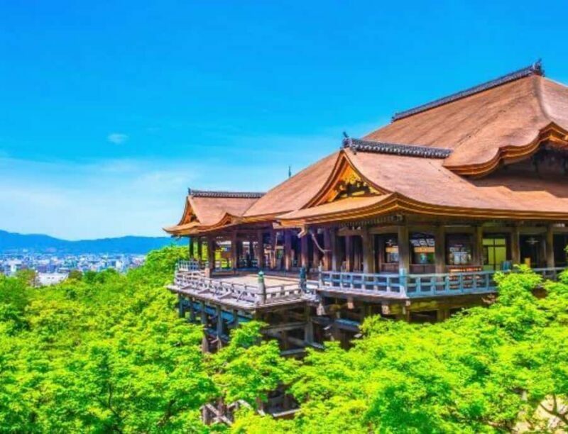 Kyoto: Highlights Tour with Geisha District and Temples - An In-Depth Look at the Kyoto Highlights Tour