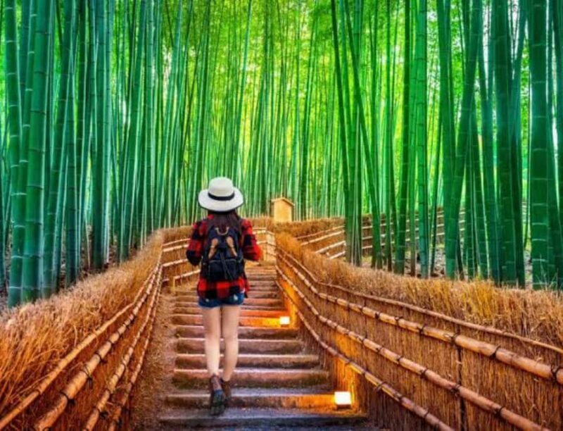 Kyoto: Highlights Tour with Geisha District and Temples - Who Will Love This Tour?